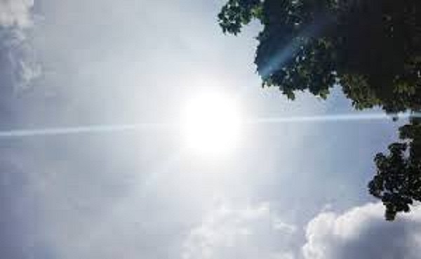 bhopal, Weather will remain, clear 