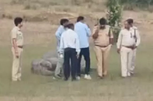 bhopal,  elephants died , Bandhavgarh Tiger Reserve 