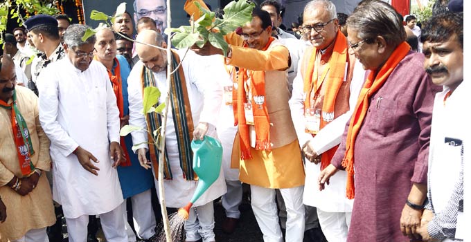 अमित शाह ने किया पौधरोपण
