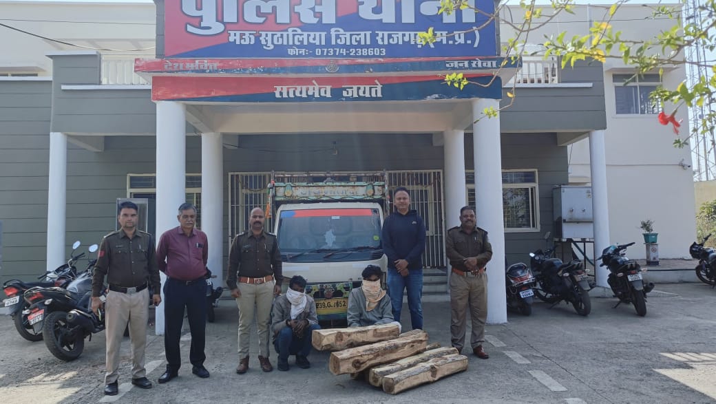 rajgarh, Illegal teak wood ,seized from pickup  