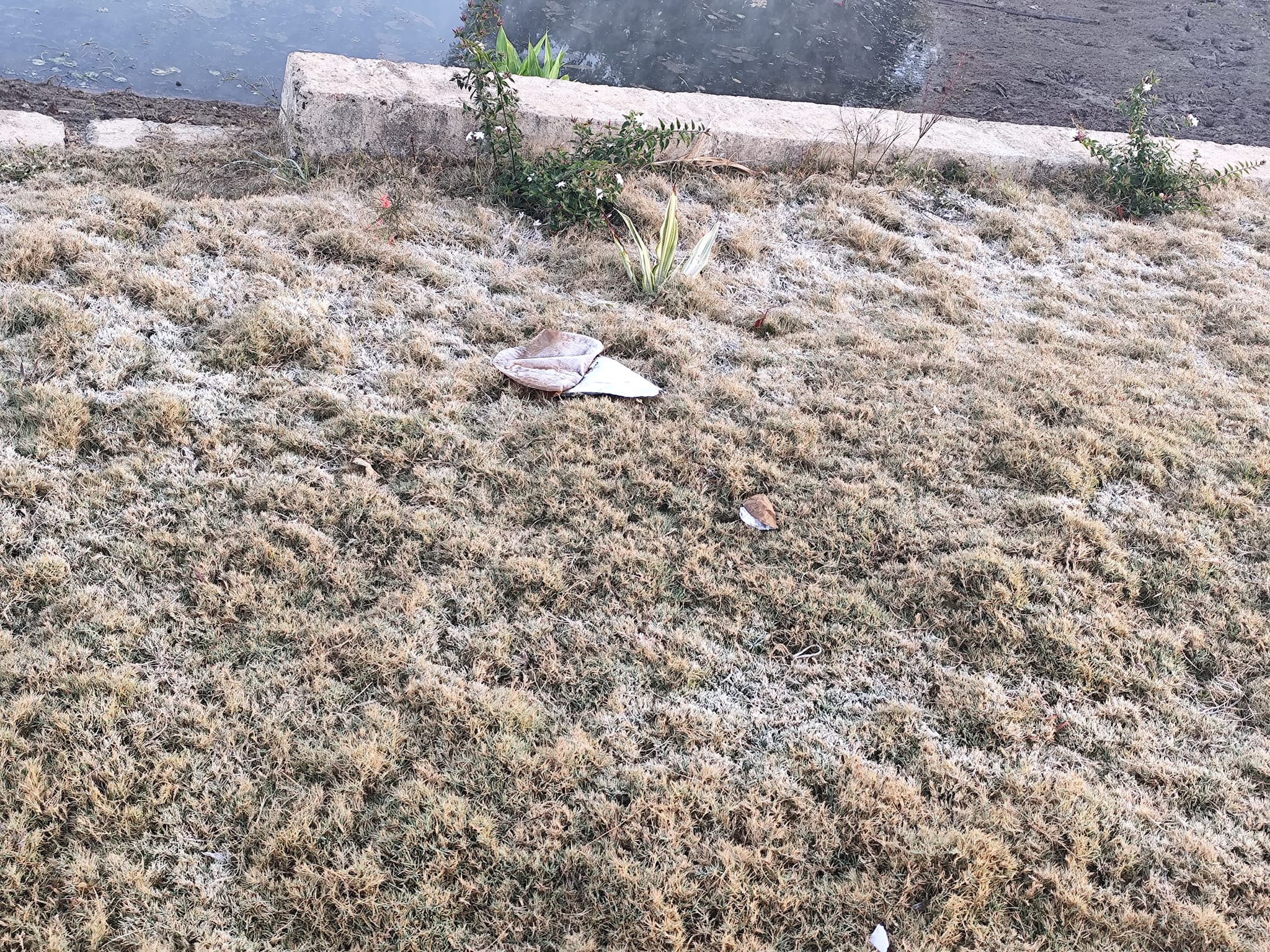 anuppur, Drops of dew frozen , Narmada 