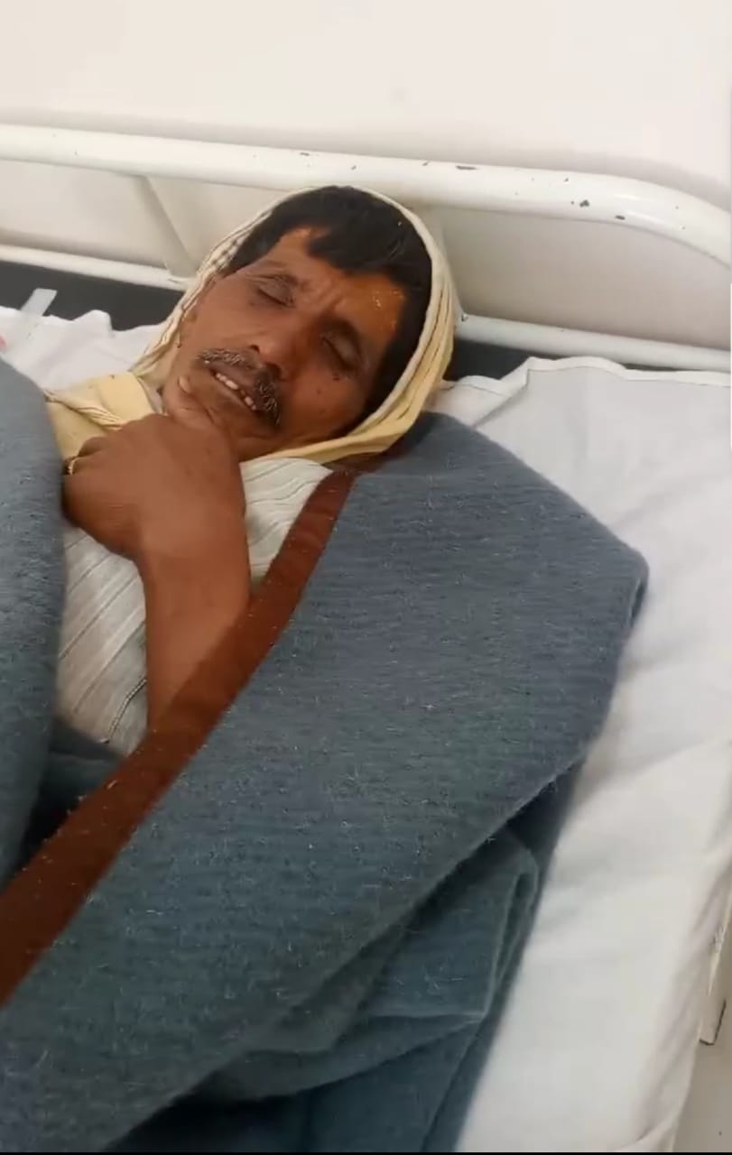 rajgarh, Eight injured , bee attack