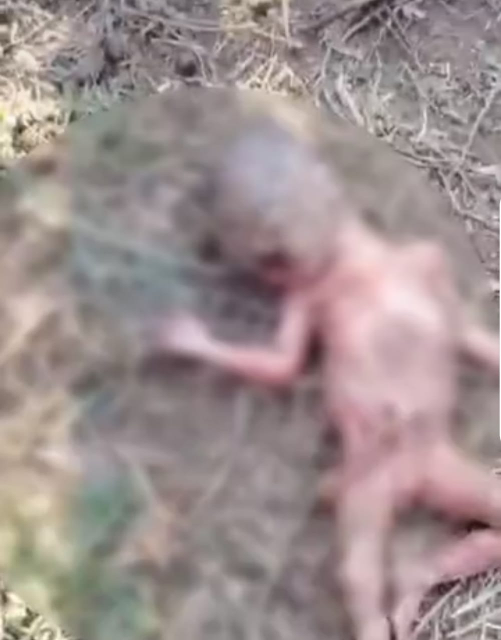 rajgarh, dead body , newborn baby girl 