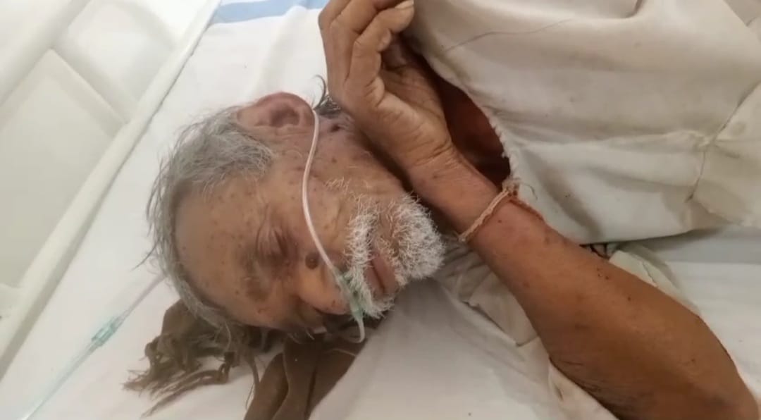 rajgarh, Two elderly people , attacked by bees