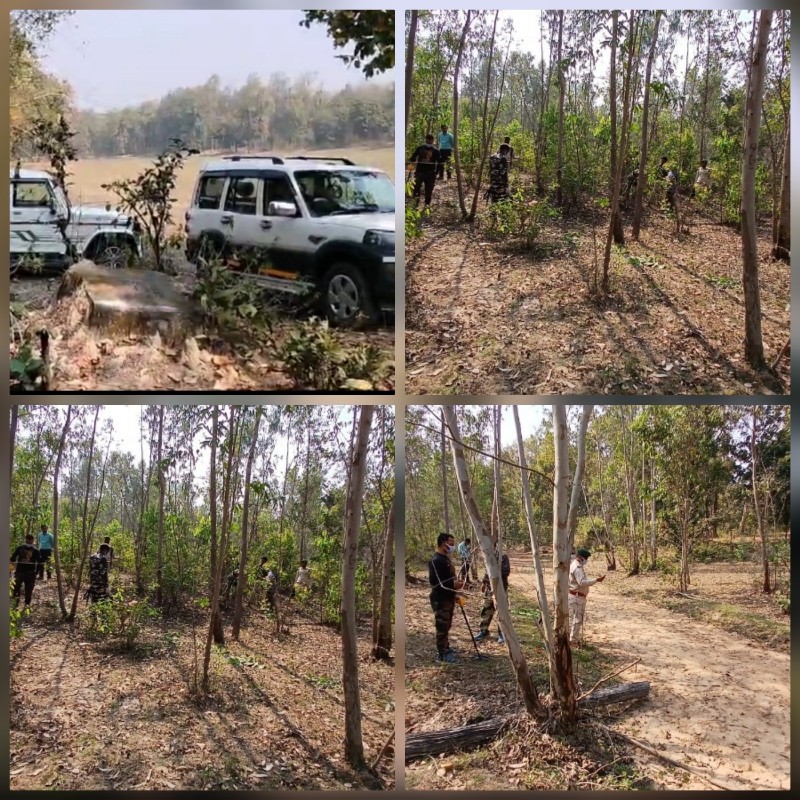 umaria, Tiger dies ,suspicious circumstances