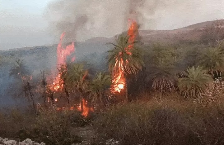 datia, Fire broke out , Babina Army Cantt