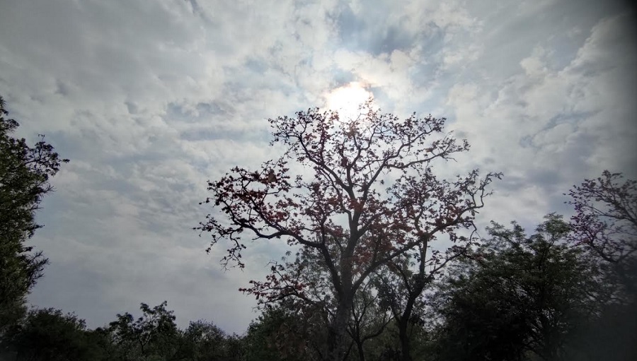 bhopal, possibility of thunderstorm , Madhya Pradesh 