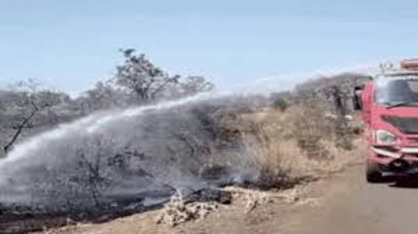 bhopal, Massive fire breaks , Manith forest