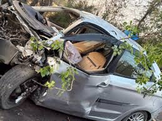 chatarpur, Car collided , save a cow