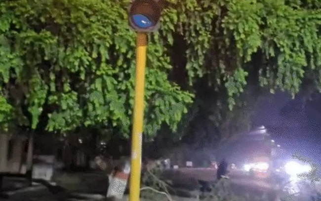 bhopal,Rain in many districts , Madhya Pradesh