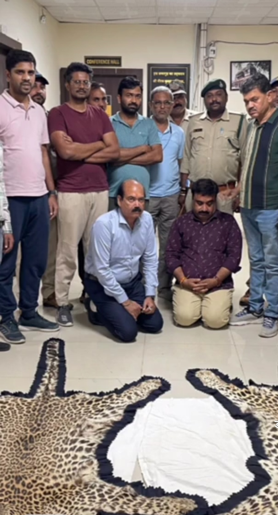 ujjain,Two leopard skins , recovered