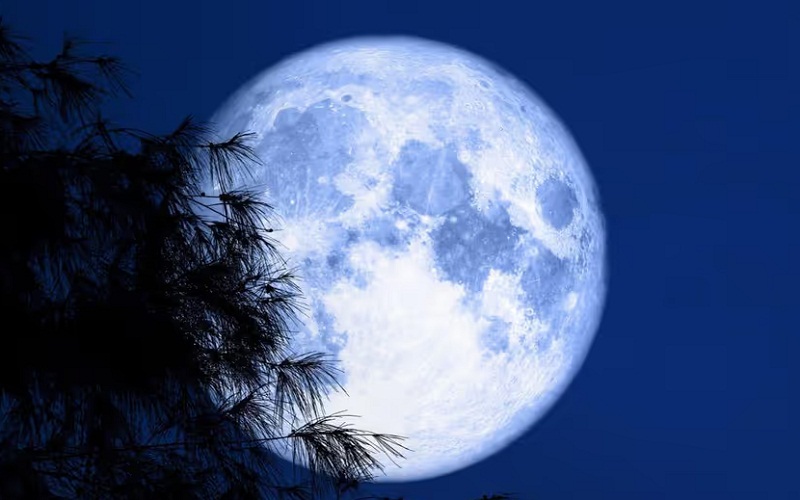 bhopal,Micro flower moon , less brightness