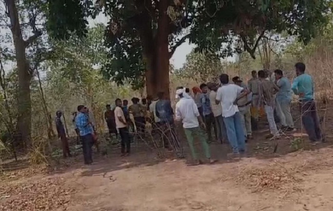 sehdol, Elephants trampled, two villagers