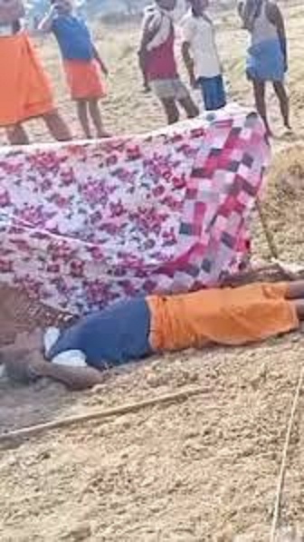 rewa,   farmer , two buffaloes died  