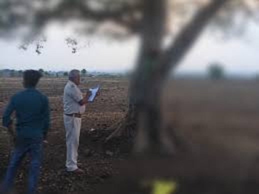 seoni,   body of a farmer , found hanging  