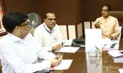 भावांतर भुगतान योजना में लहसुन का पंजीयन 31 मार्च तक