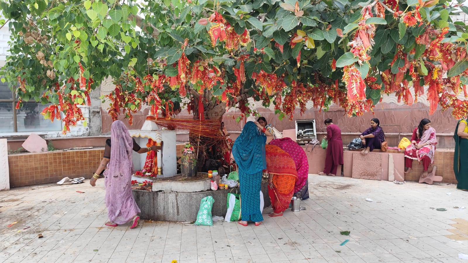 anuppur, Women worshiped Banyan tree, husband