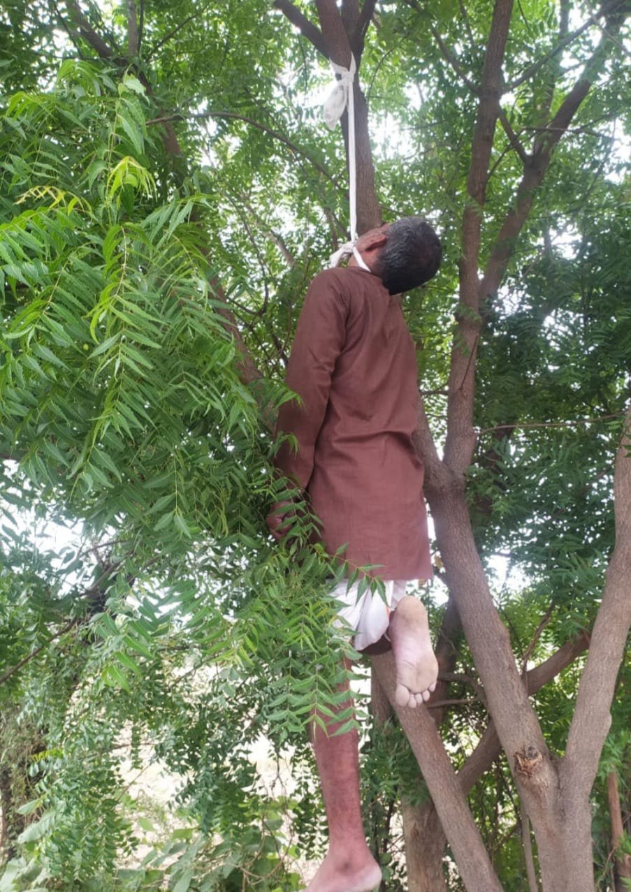 rajgarh,   body of a person, neem tree