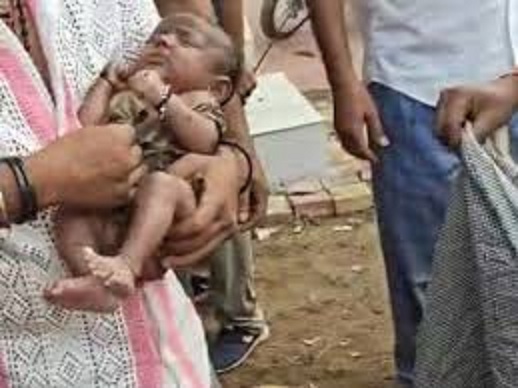 satna,    newborn found,  dry well