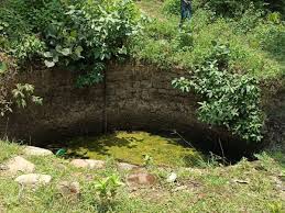 anuppur, Bodies of two children, floating in a well