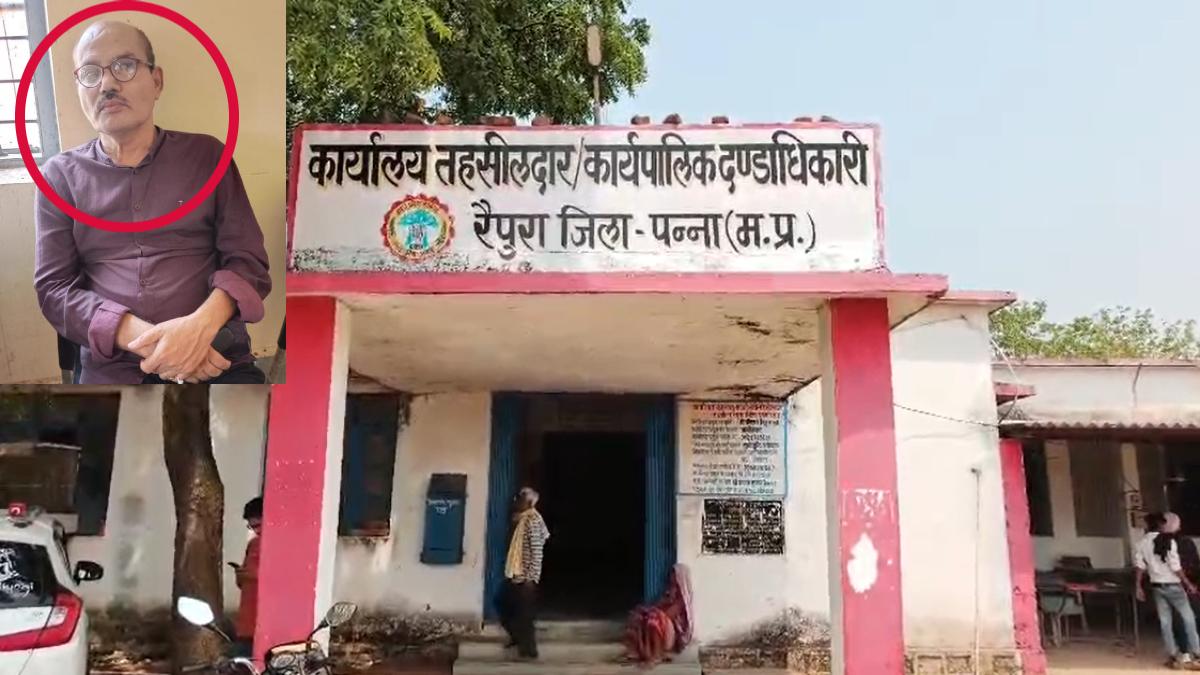 panna, Tehsildar arrested , taking bribe  