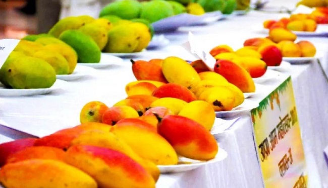 bhopal, Five day ,Mango Festival 