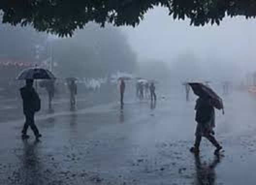 bhopal, Monsoon arrives, Madhya Pradesh 