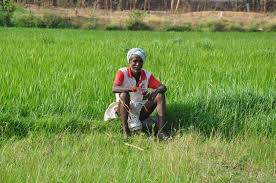 मुख्यमंत्री कृषक समृद्धि योजना 