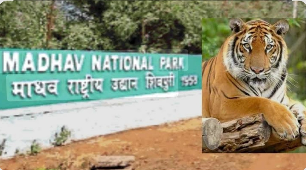 shivpuri,Entry of tourists banned,  National Park 