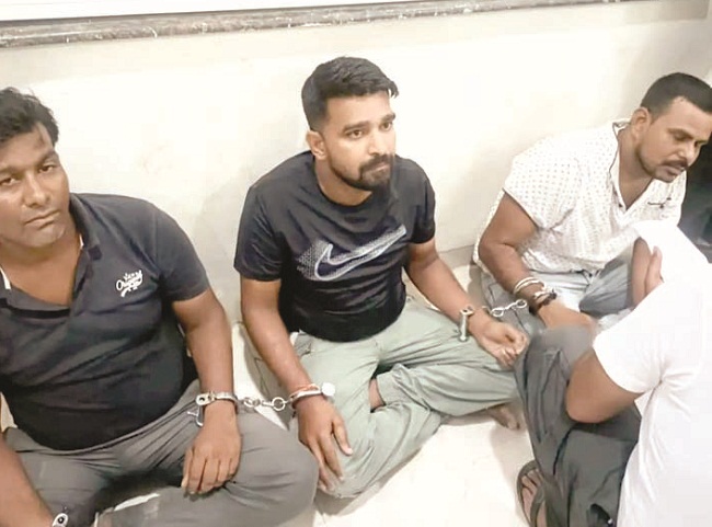 morena, Three smugglers arrested , baby turtles