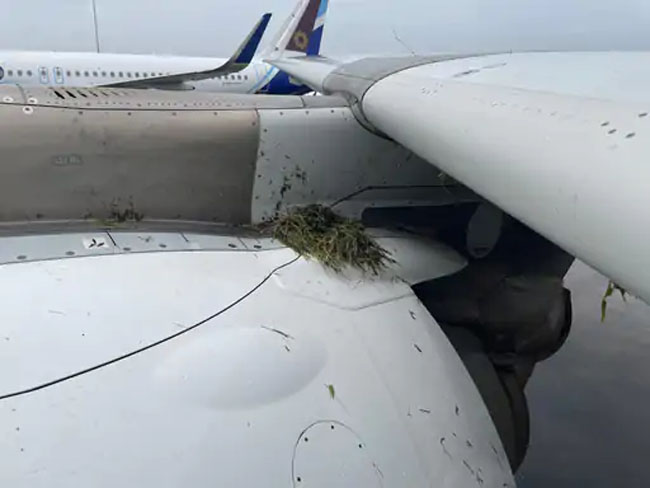 mumbai, Air India plane, Mumbai airport