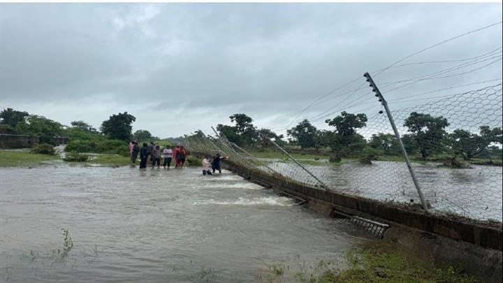 neemuch,Rain water reached ,Gandhi Sagar Sanctuary