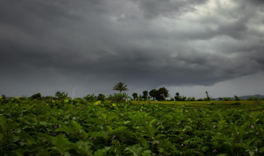 bhopal, Heavy rain alert,  Madhya Pradesh 