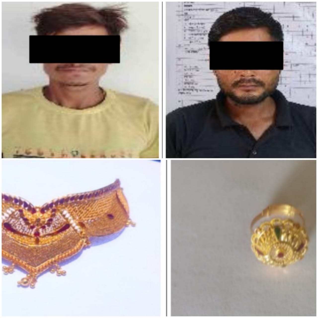 rajgarh, Two members   gang , train theft arrested