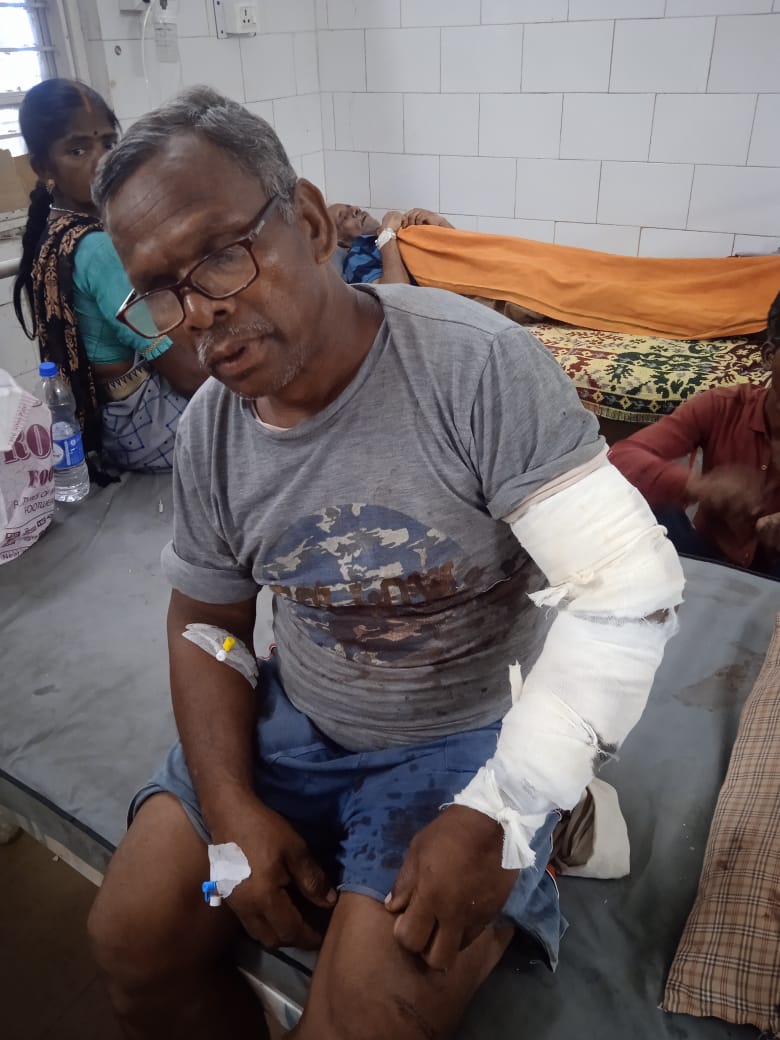 anuppur,   bear attacked , farmer guarding his crop