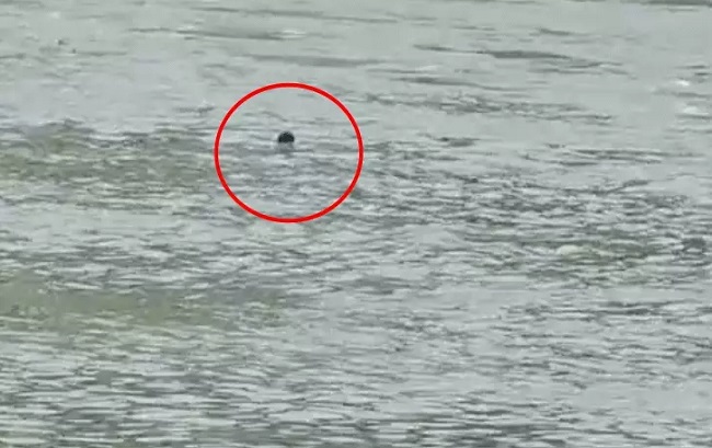 bhopal, Youth drowns, Omkareshwar