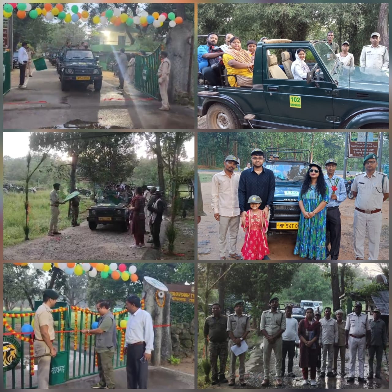 umaria,Bandhavgarh Tiger Reserve, three months