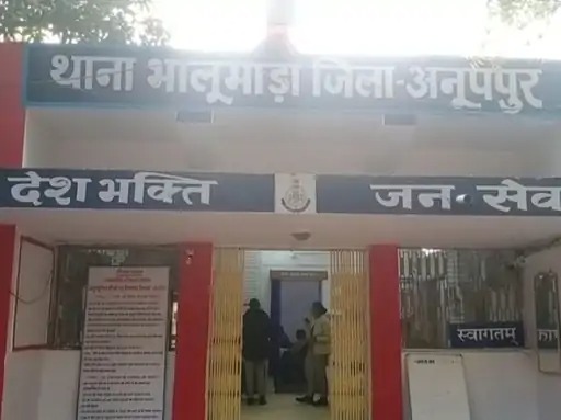 anuppur, Unidentified people ,pelted stones  