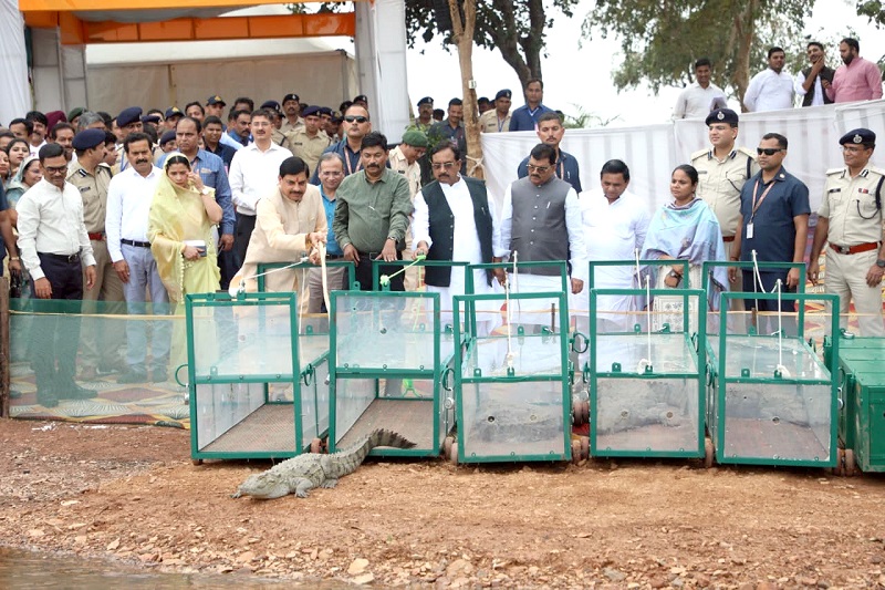 bhopal,   state government , Dr. Yadav