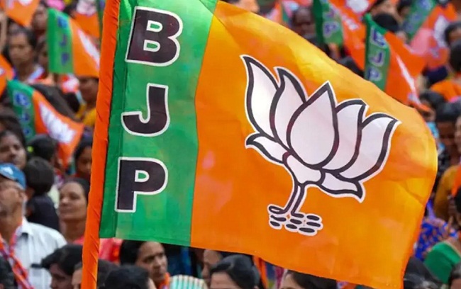 bhopal,New in-charges appointed, Madhya Pradesh BJP