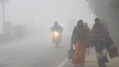 Bhopal , Cold wave, Madhya Pradesh, school holidays declared, 19 districts