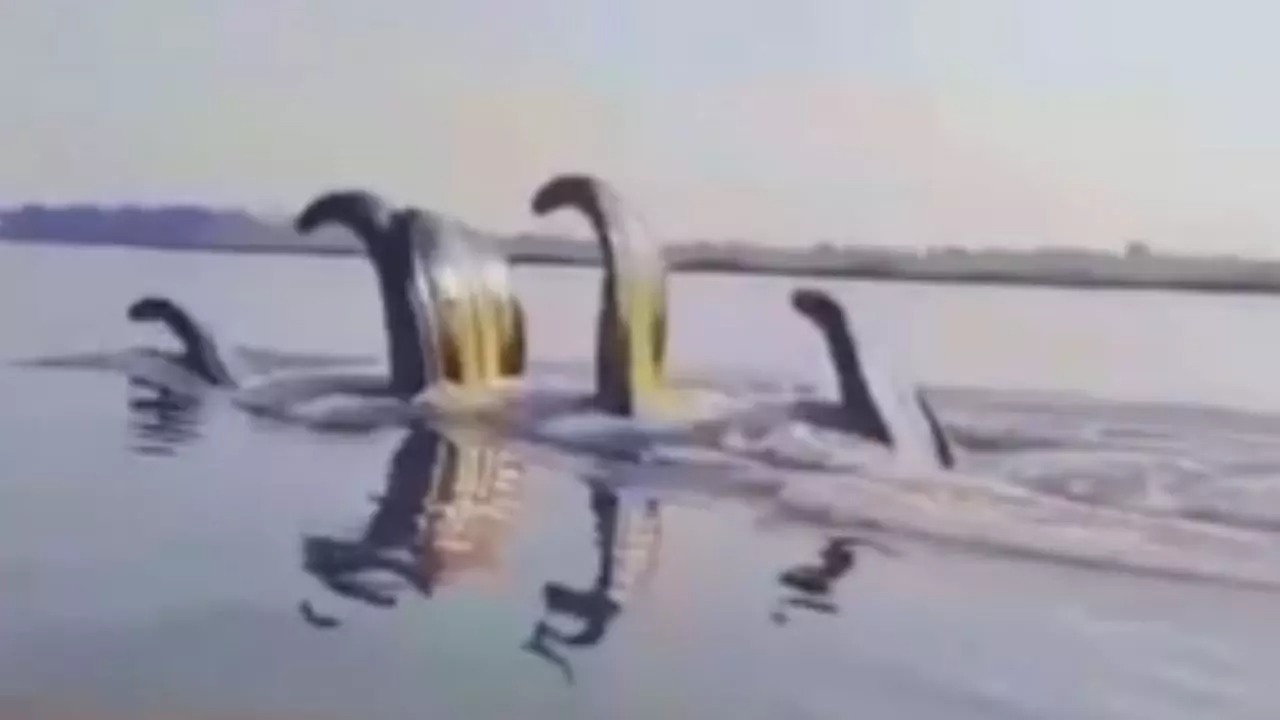 Five-hooded, Kaliya, snake, Yamuna, AI video, reveals