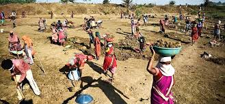  MNREGA, fraud , Rewa, fake muster roll ,RTI activist