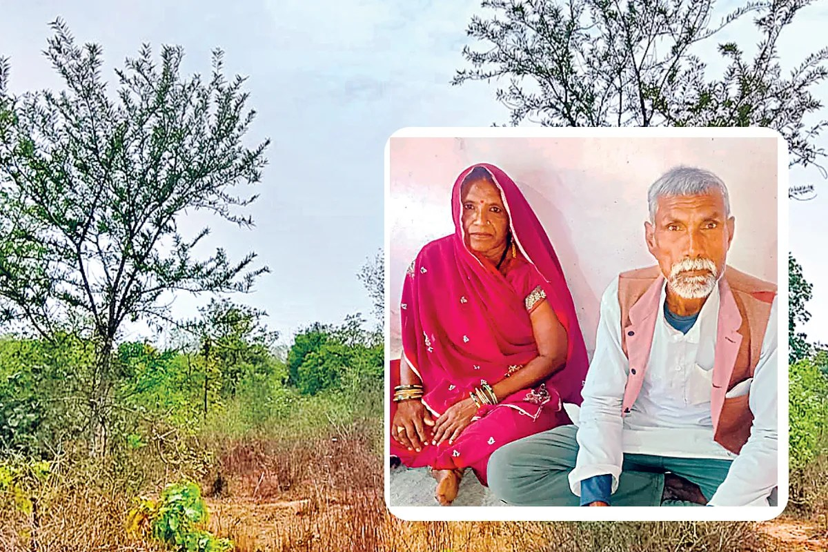  Rewa couple created history , adopting 10,000 trees , family
