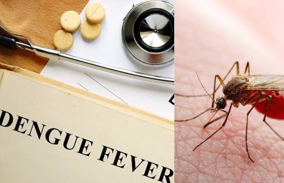 Dengue , platelet counts , heart; do not ignore , 6 symptom