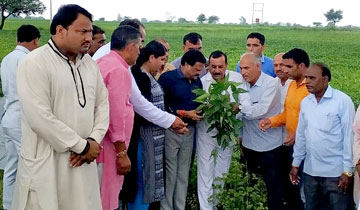 गौशाला का किया भूमि-पूजन  