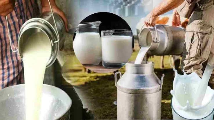 milk , Maharashtra, milk , starting August 11