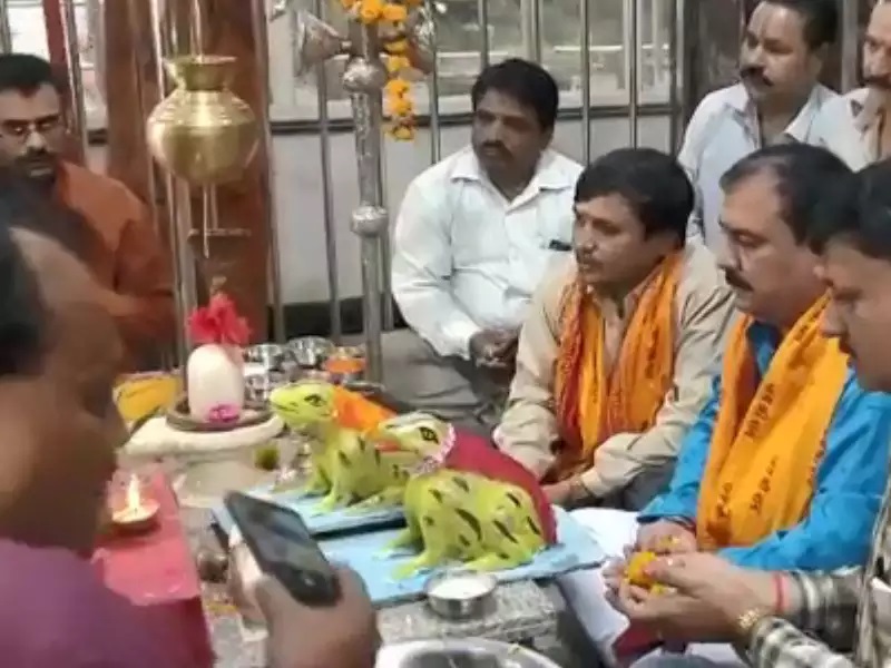  मेंढकी का तलाक