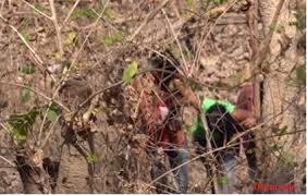  जंगल में दुष्कर्म