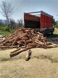 हाईकोर्ट की रोक के बाद